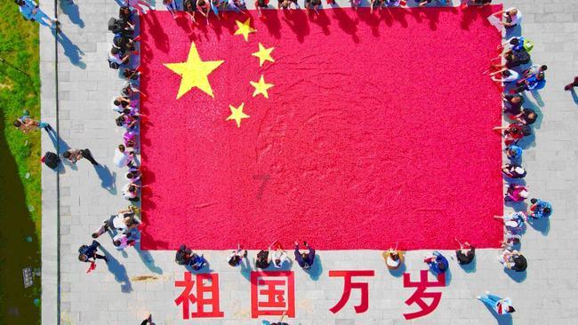 救援可爱小松鼠